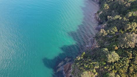 vegetated and rock shore of korora beach reserve near big oneroa beach at waiheke island, new zealand