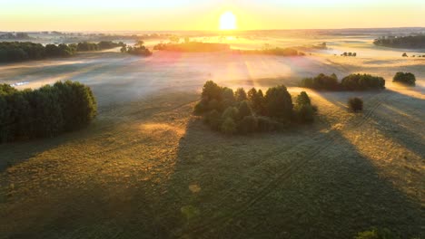 vue aérienne large sur une prairie brumeuse avec des arbres et des rayons de soleil dorés à l'aube