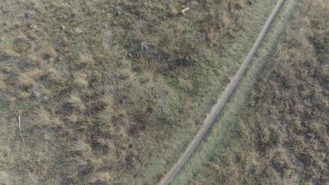 Drone-shot-from-above,-mountainbiker-riding-underneath