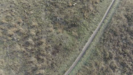 disparo de drone desde arriba, ciclista de montaña montando debajo