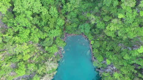 vista aérea de arriba hacia abajo del paisaje kárstico de piedra caliza y agua turquesa en la isla de coron, palawan, filipinas