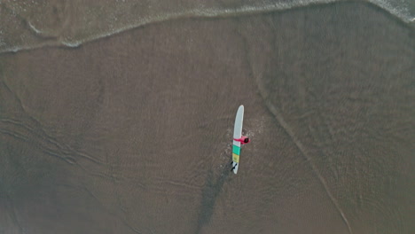 Aerial-Drone-Shot-of-Lone-Professional-Female-Surfer-Walking-to-the-Sea-on-Deserted-Beach