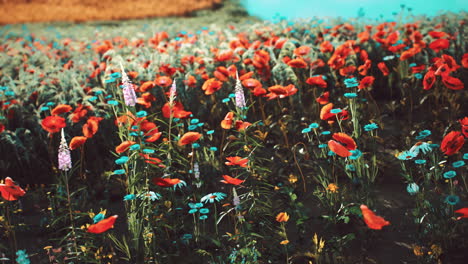 campo vibrante de amapolas rojas y flores en flor bajo un cielo despejado