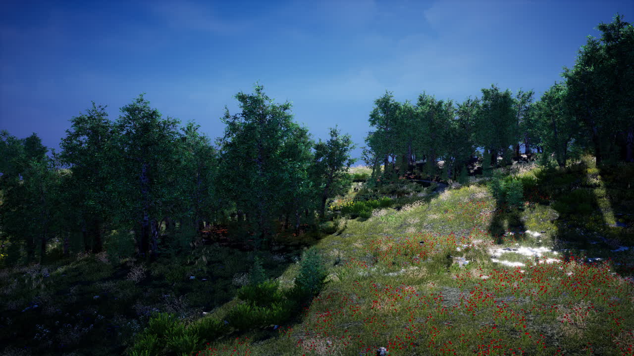 평온한 황혼의 숲 풍경