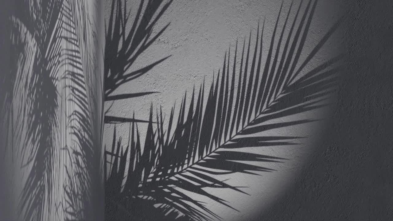 a palm leaves shadow on black background wall with copy space
