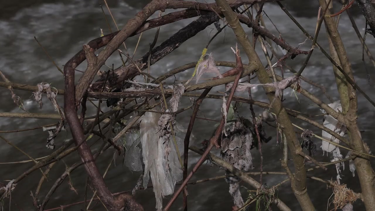 Plastic pollution on a poluted river after floods.