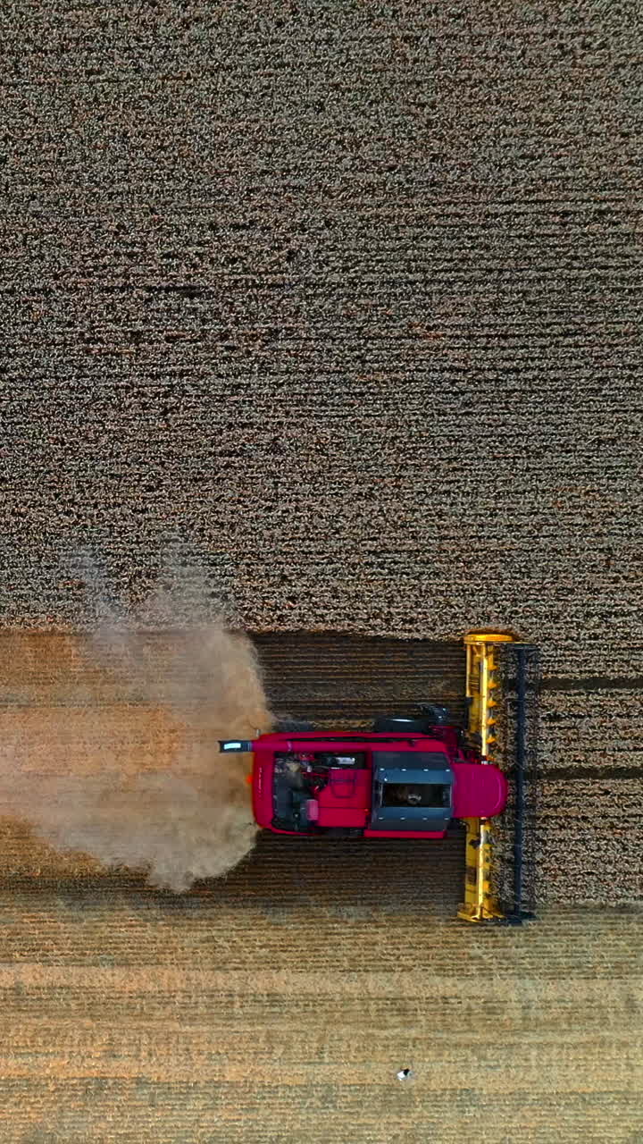 Aerial view on the combine working on the large wheat field. Grain harvesting equipment in the field. Vertical video