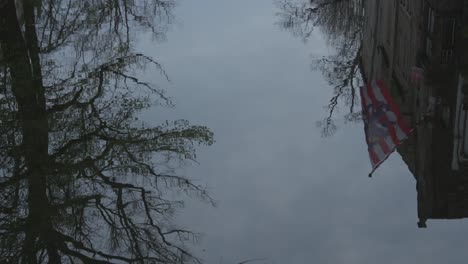 reflection of a building and tree branches in water in bruges, belgium
