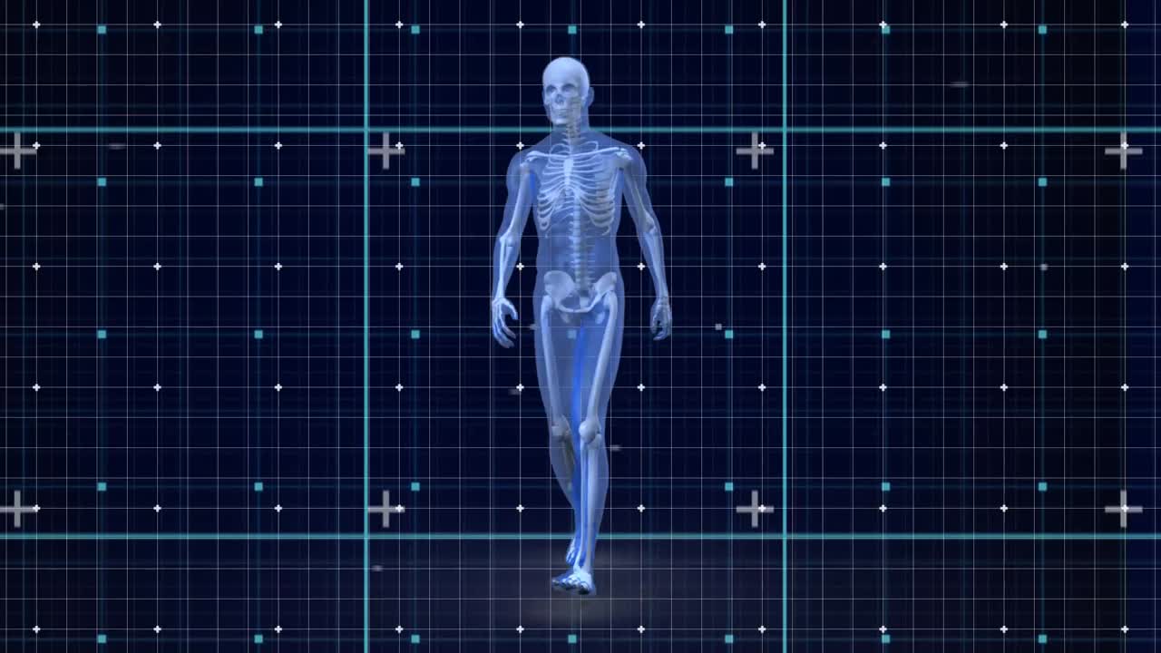 animación de un humano caminando sobre marcadores que se mueven en la cuadrícula