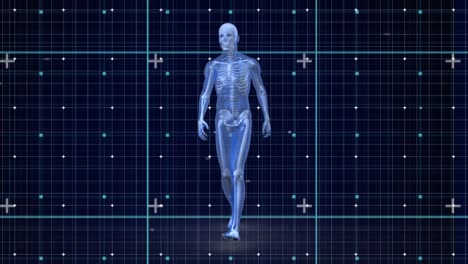 animation of human walking over markers moving on grid