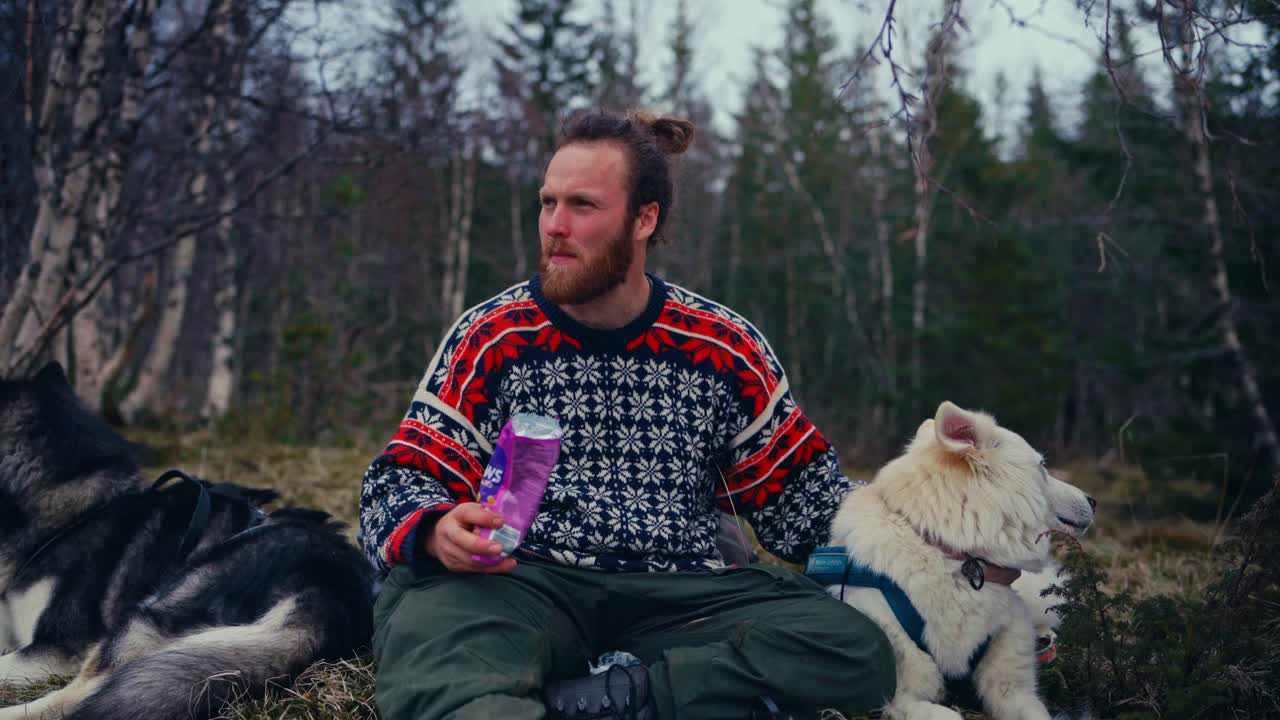 Bearded Caucasian Guy Sitting With His Dogs While Eating In Nature Background. Static Shot
