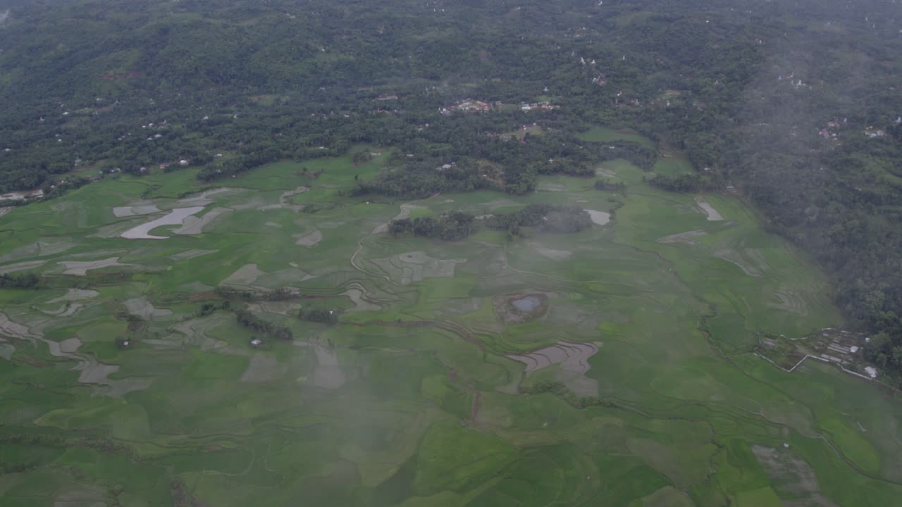 tomada amplia de exuberantes arrozales verdes con nubes bajas en la isla de sumba, aérea