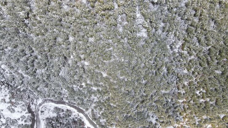 Foresta Invernale Alte Montagne Veduta Aerea