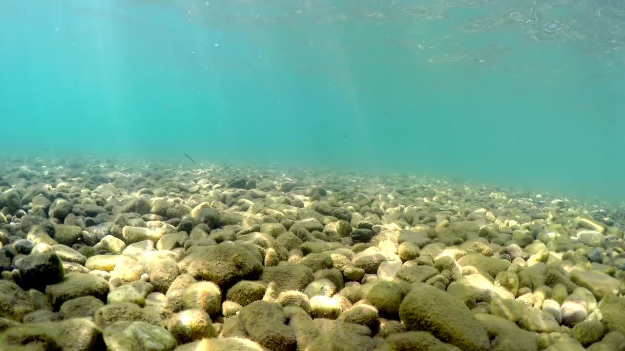 Fiskeperspektiv bevæger sig på havbunden med småsten, sten