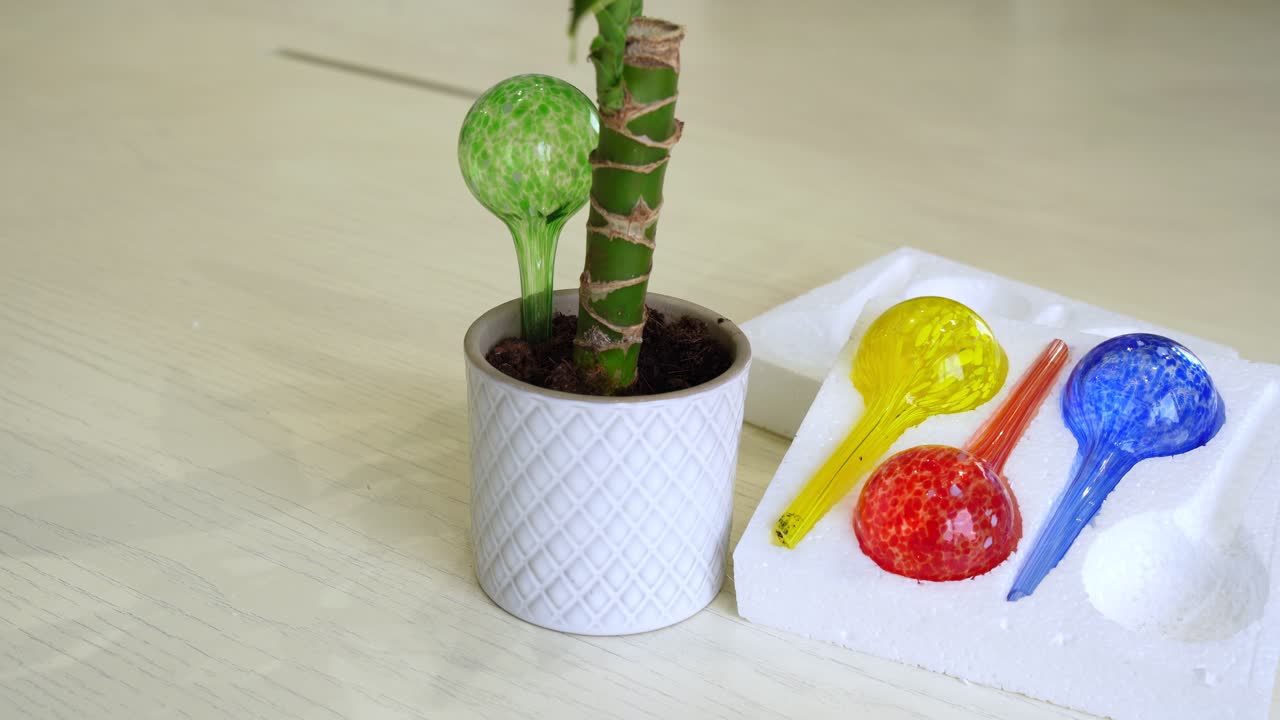 Bright glass watering globes beside a potted indoor plant. Ideal for gardening, home decor, or houseplant care visuals