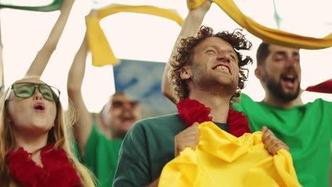 excited sports fans at a game