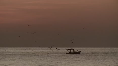 pequeño barco de pesca en el mar con gaviotas volando, cielo al atardecer, estático