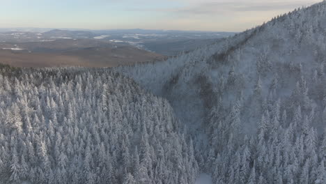 Snow-Covered-Dense-Thicket-On-The-Mountains-Near-Sutton,-Quebec-Canada