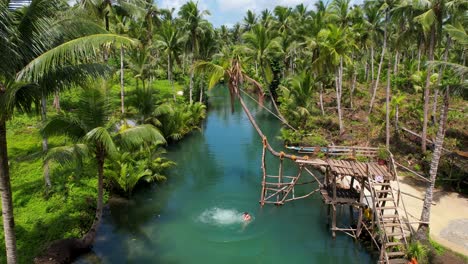 4k drone video of a man jumping from the high jump at maasin river on siargao island in the philippines