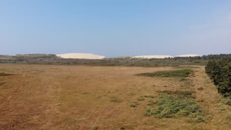 aerial view of big dunes and greenery by the north sea shoreline outside løkken, denmark