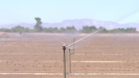 sprinkler irrigation in imperial valley, southern california