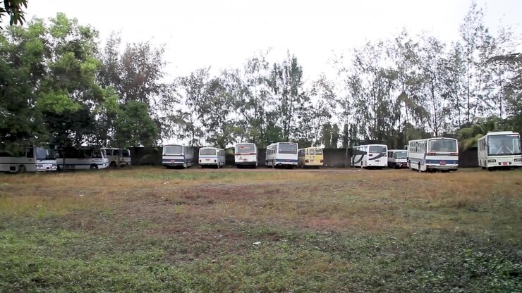 Una vista panoramica di una fila di diversi autobus parcheggiati in un grande campo erboso, ombreggiati da una fila di alberi in una giornata luminosa e nuvolosa in un contesto rurale o di deposito