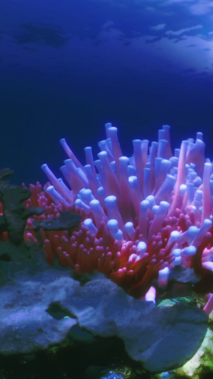 Vibrant underwater coral garden blooms in the serene depths of the ocean