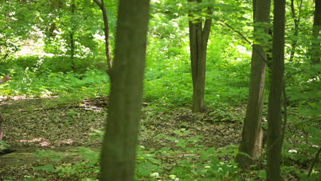 two happy sportswomen running in the woods