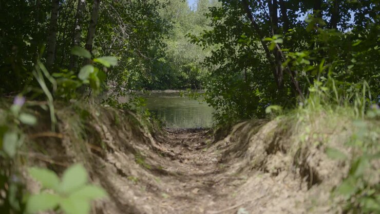 Empty drainage channel towards the lake 2 / Focus on lake
