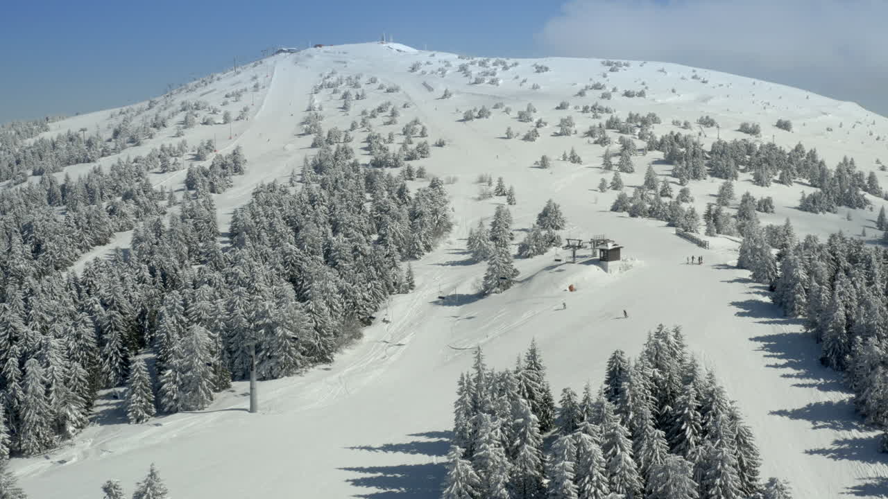 A panoramic view of a snow-covered ski resort mountain with skiers and pine trees