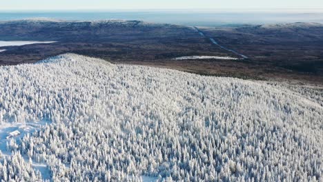 snowy mountain forest aerial view