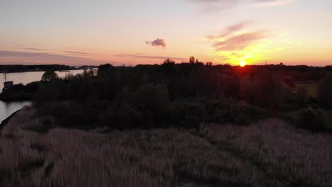 Golden-Wild-Grass-At-Riverbanks-Near-Barendrecht-In-South-Holland,-Netherlands-During-Sunset