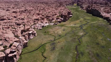 Flyover-Rugged-Valle-De-Las-Rocas-Landscape-With-Llamas-In-Valley