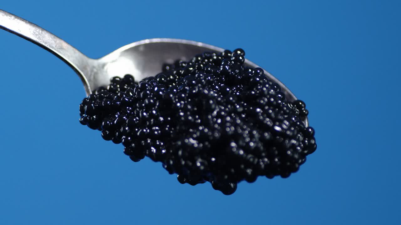 Black caviar falls from a spoon.