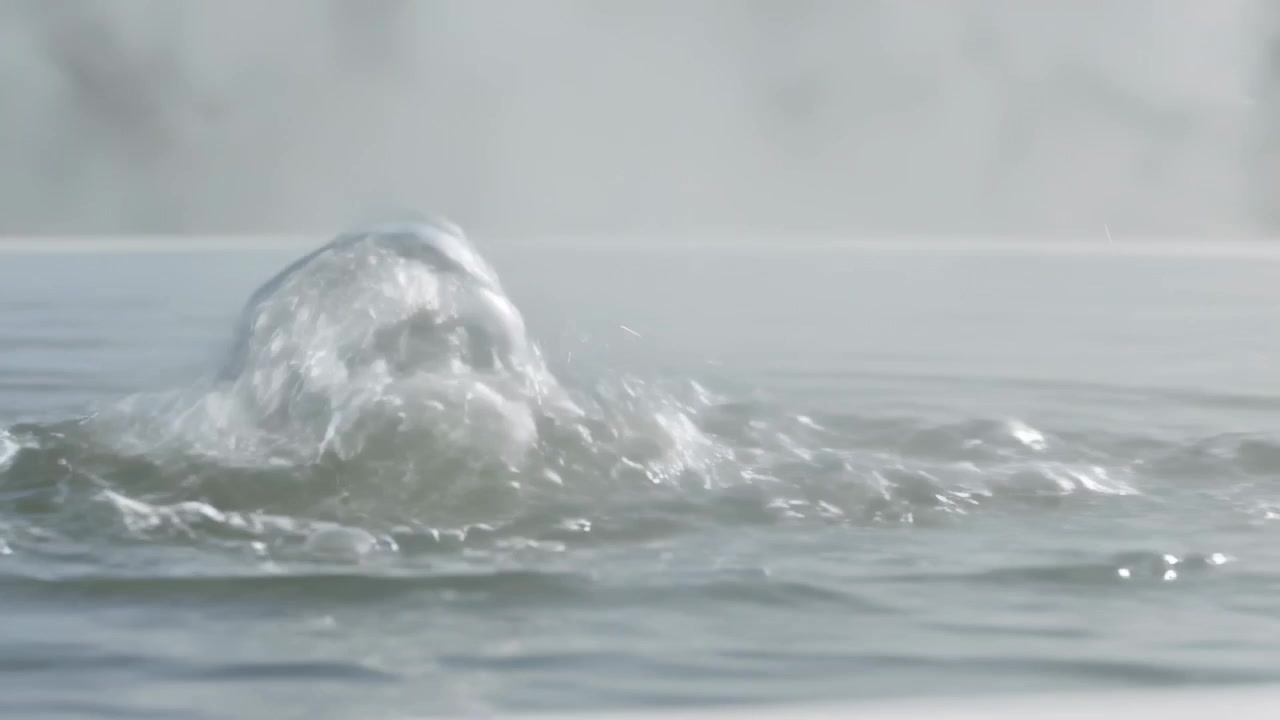 Si forma uno schizzo che avvia una chiazza concentrata di acqua agitata in mare, con schiuma bianca e nebbia che si alza.