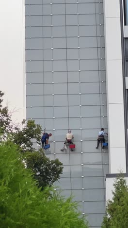 window cleaners on high-rise building