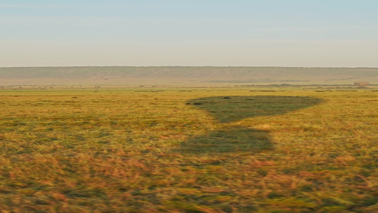 Hot Air Balloon Flight on Africa Safari, Hot Air Balloon Ride Over Savanna on Luxury African Safari Holiday Vacation in Maasai Mara National Park in Masai Mara in Kenya, Flying Over the Savannah