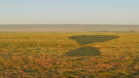 hot air balloon flight on africa safari, hot air balloon ride over savanna on luxury african safari holiday vacation in maasai mara national park in masai mara in kenya, flying over the savannah
