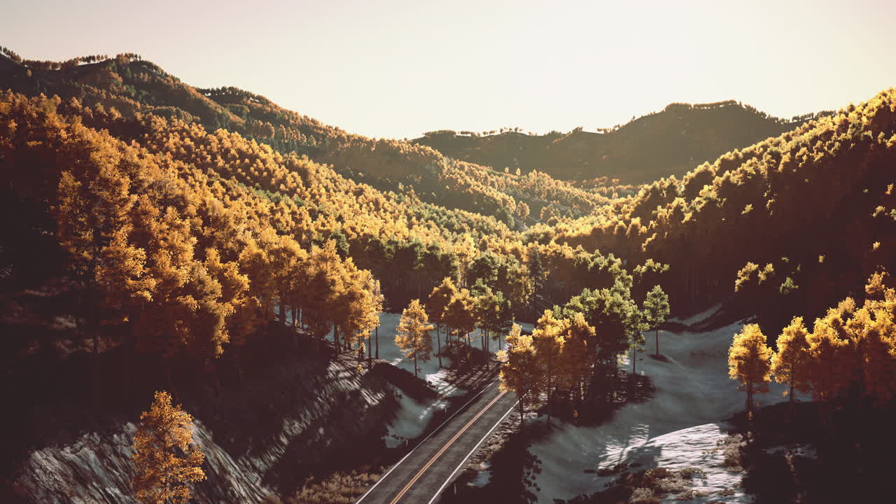conduciendo a través de un hermoso camino forestal en las montañas durante el atardecer