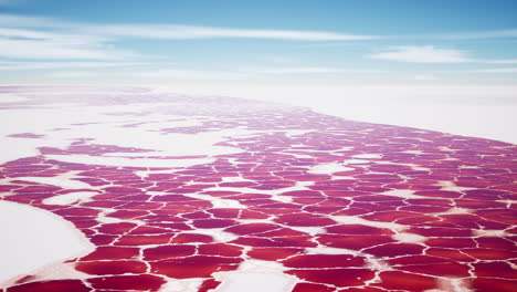 beautiful view of pink lake on summer day