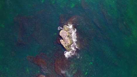 drone view ascending above a rock in the middle of the sea, where birds are resting