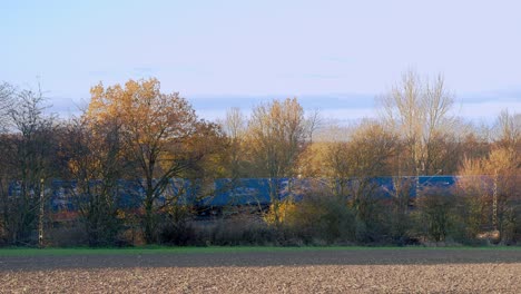 a freight train drives past a few trees past a field from right to left