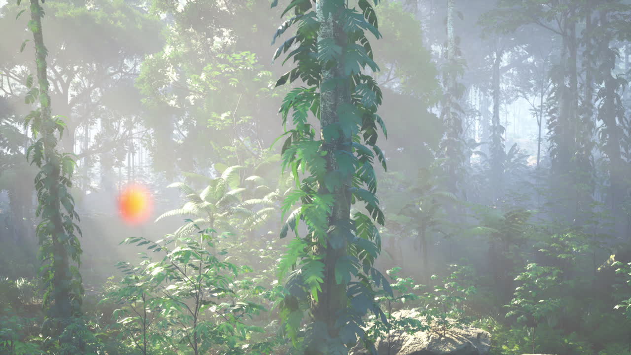 빛이 안개를 는 울창한 정글 숲을 가로질러 매혹적인 여행
