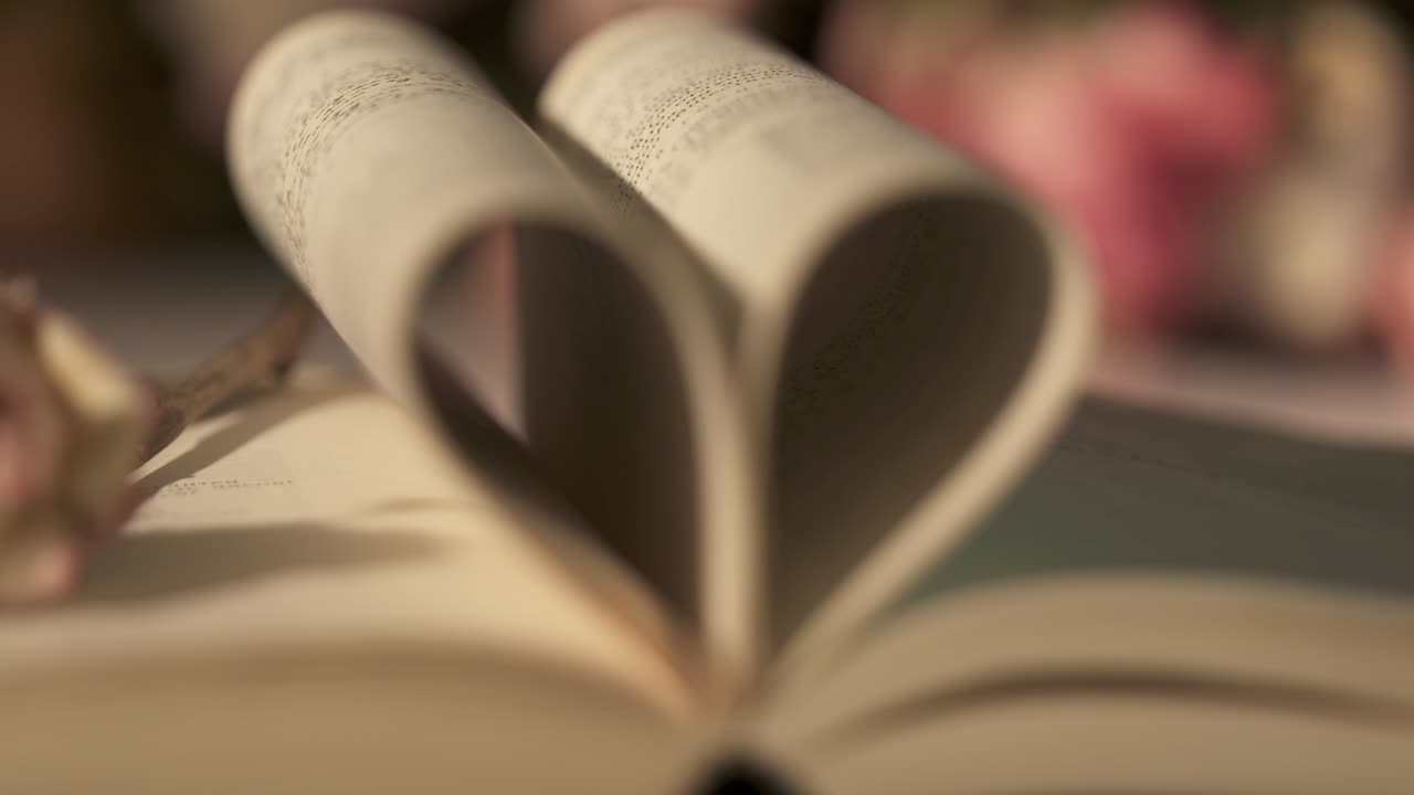 심장 모양의 페이지와 마른 장미 꽃으로 열린 책