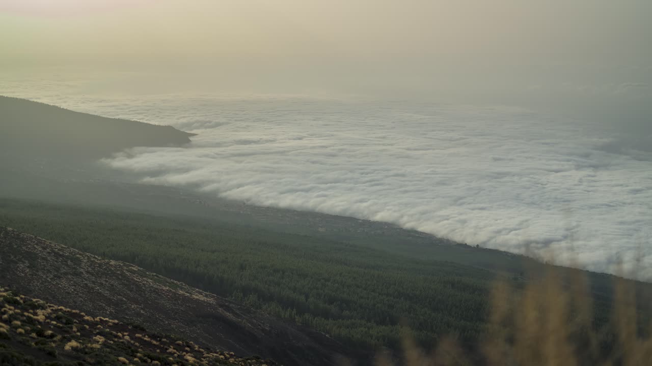 Thick Green Vegetation At Teide National Park In Tenerife, Canary Islands, Spain. wide shot