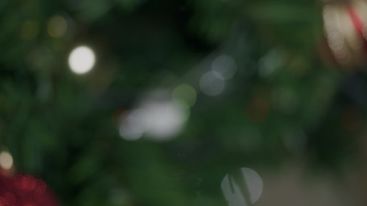 las luces eléctricas del árbol de navidad, el efecto bokeh.