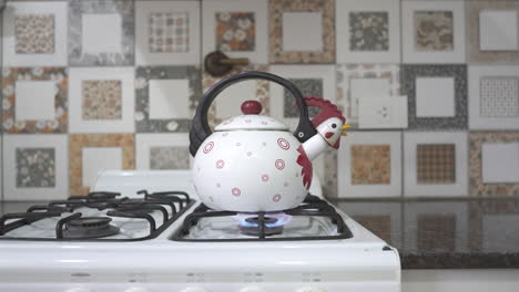 heating water on a stove, a common culinary process to prepare hot beverages and meals