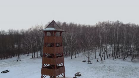 Drone-footage-at-the-lake-Balaton-in-winter