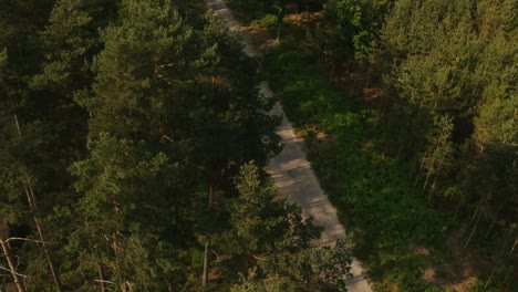 Luftaufnahmen-Von-Drohnen-über-Dem-Wald-Am-Abend