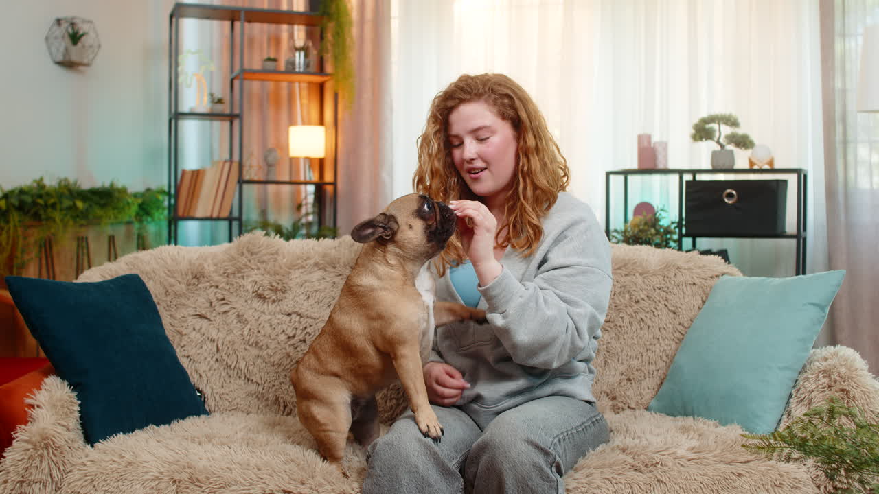 Young woman training pug dog on home sofa pet standing on hind legs and posing with cute attention